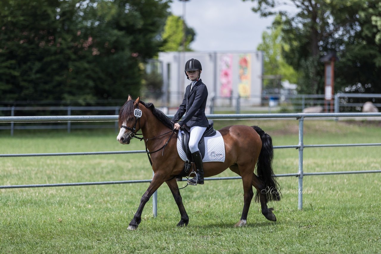 Bild 4 - Pony Akademie Turnier